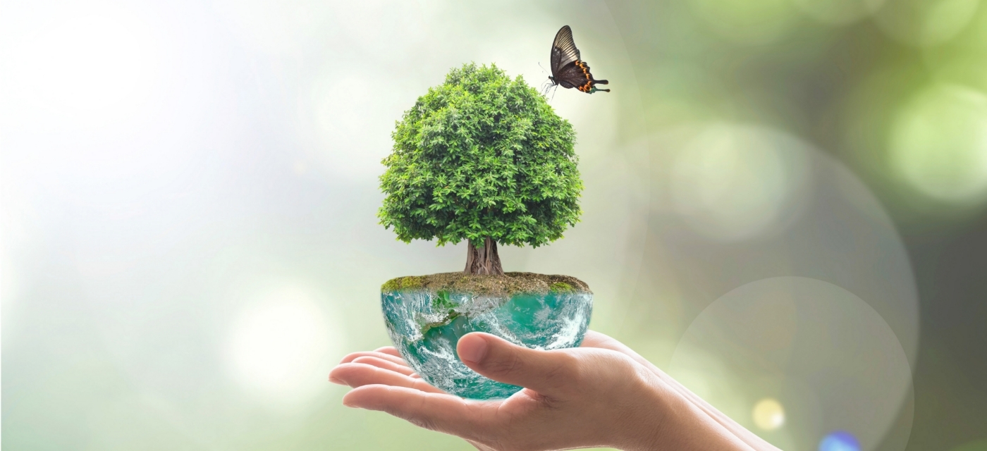 Self Photos / Files - img_about_responsibility